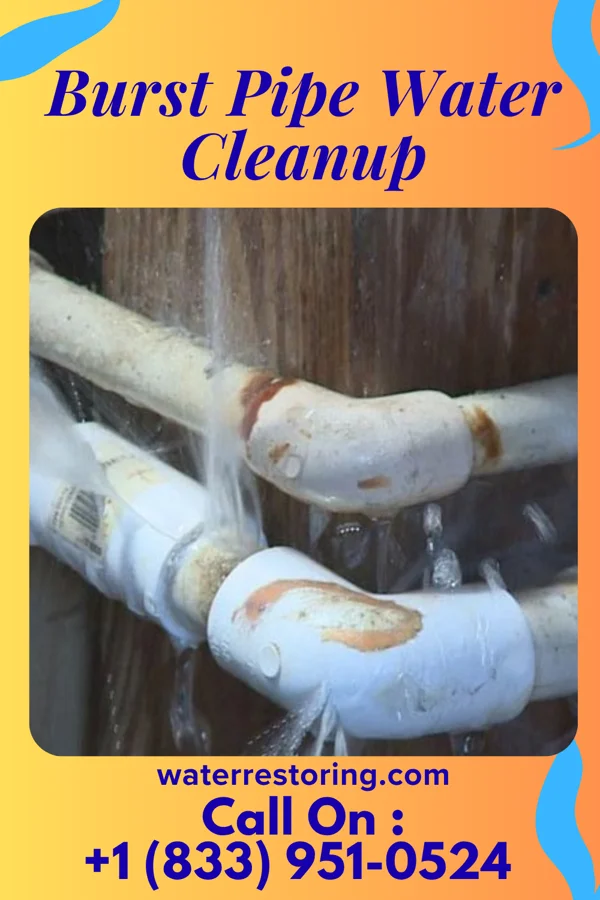Burst Pipe Water Cleanup in Pickrell, NE