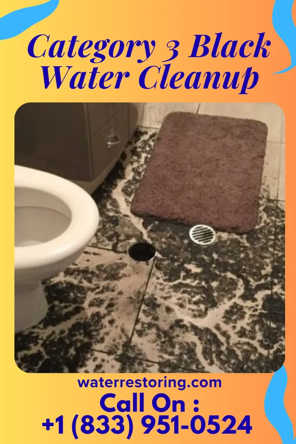 Category 3 Black Water Cleanup in Pickrell, NE