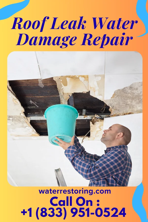 Roof Leak Water Damage Repair in Pickrell, NE